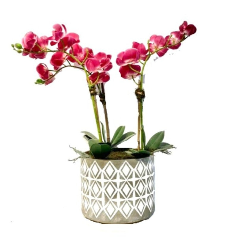 Pink Orchid Arrangement