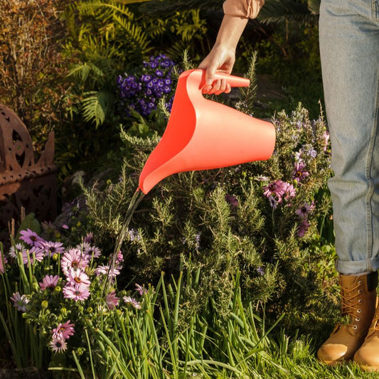 Watering Can 1,6L Mix 3 Colours